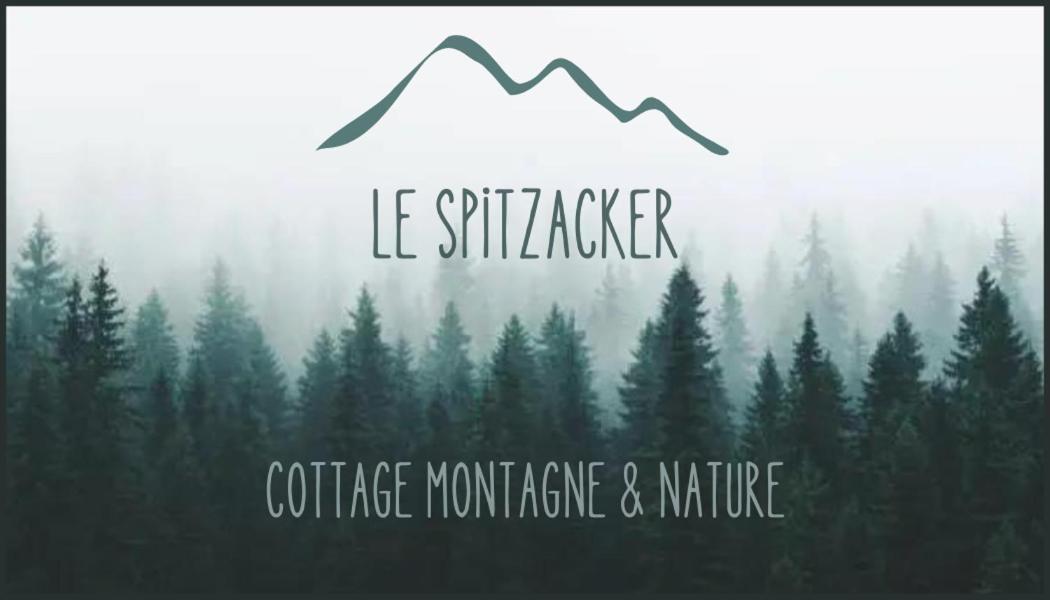 Le Spitzacker Gite Familial Au Calme Husseren-Wesserling Kültér fotó